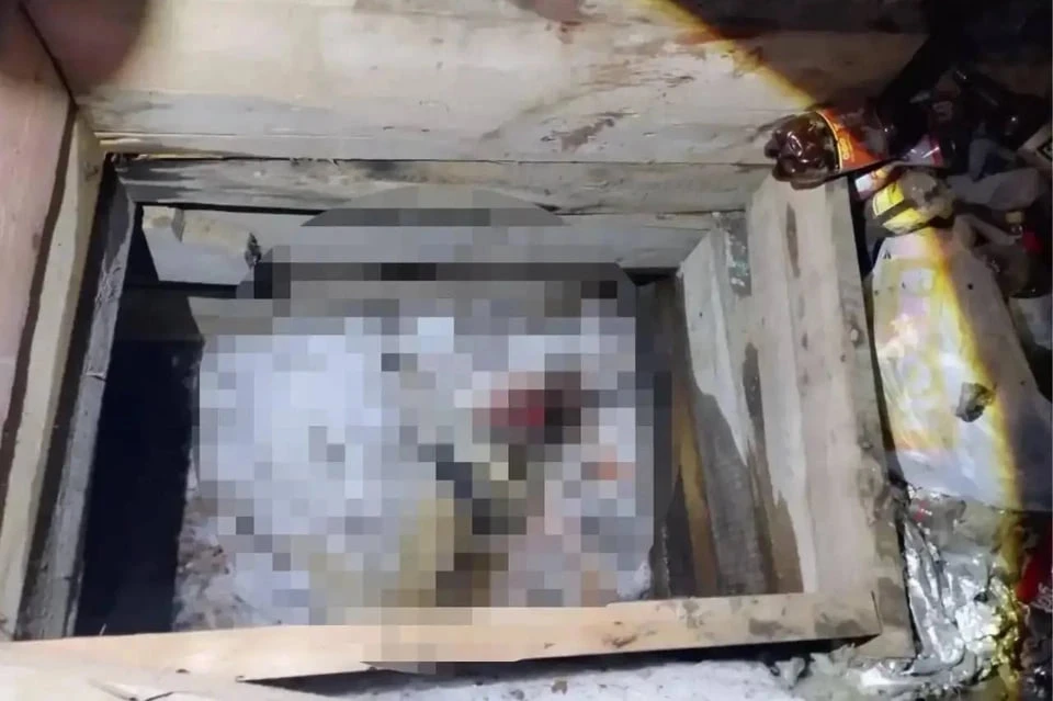 Бросил труп в погреб: в Красноярском крае пьяный мужчина зарубил топором собственных собак