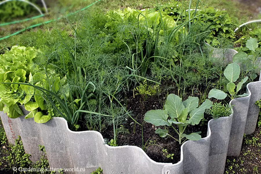 Удобная и урожайная грядка: как создать красивую клумбу на 1 квадратном метре