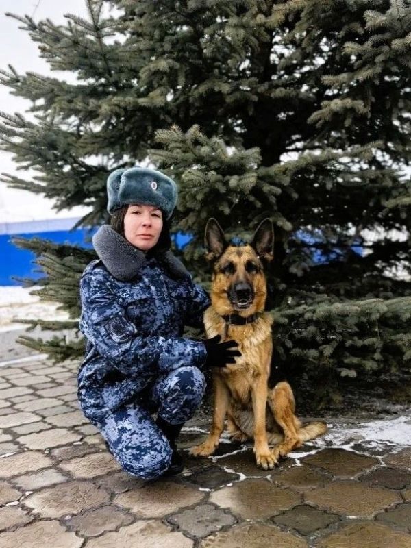 � ������������ ���� ��������� ������ ��� ���������� 25 ����������� ����������