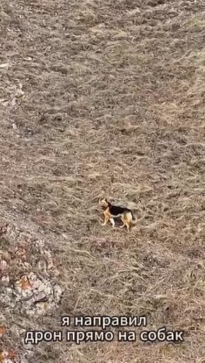 ������������ �������� ����� ������� ����� � ���� �������� ����