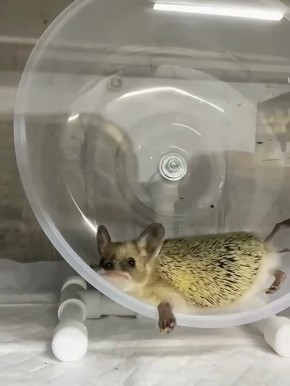 ������ ����!. ����� ���� ���� �������� � ������