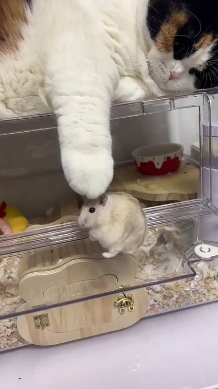 ������ ����!. ����� ������� ������� ���� ������, � ������ �������� ���� �� ������