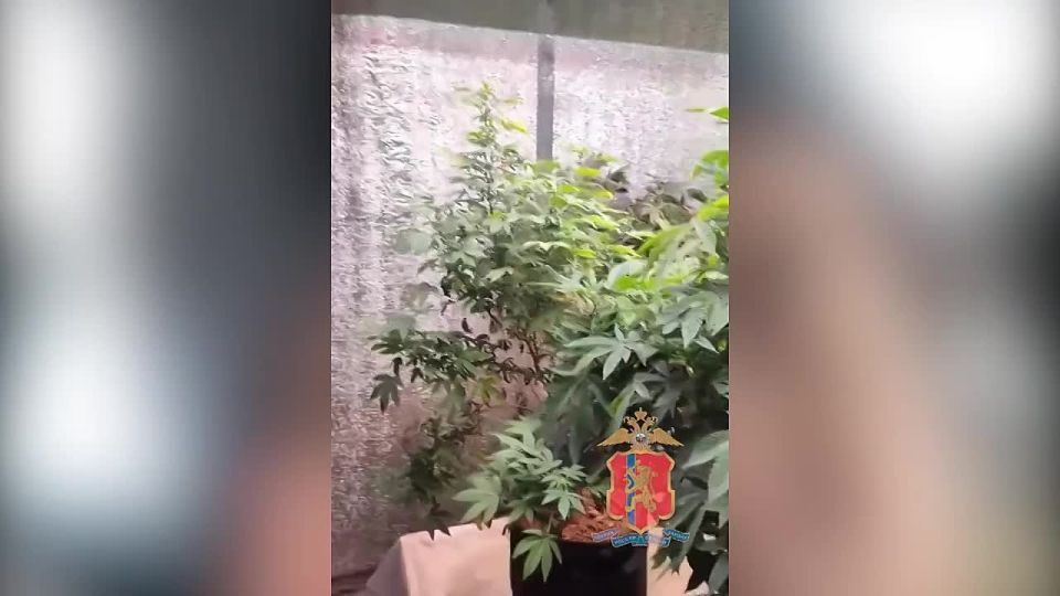 � ���� �������������� �� ����������� ����������� ������ 152 ����� ������� � ����� 10 �� ������ ���������