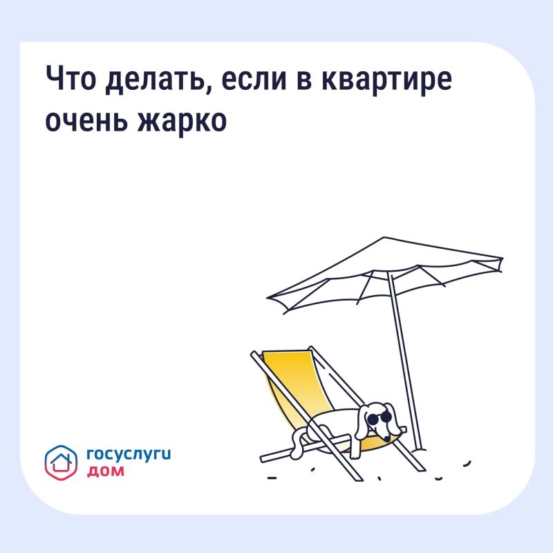 #���. ��� ������, ���� � �������� ������ �����