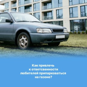 Паркуются на газоне? Смотрите инструкцию, как привлечь нарушителей к ответственности!