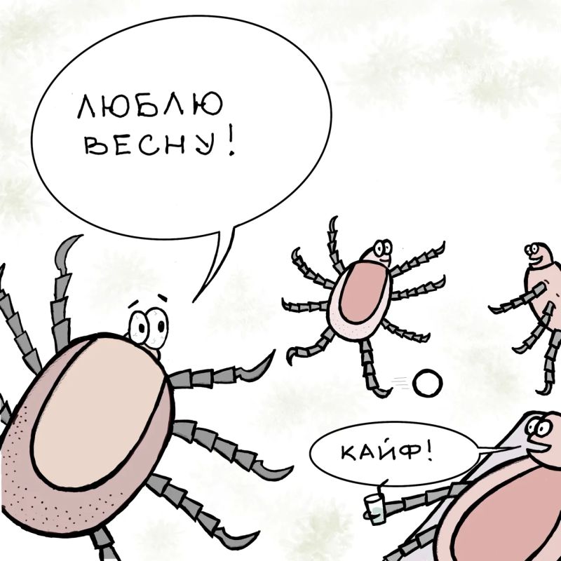 �� ������ � ������������ ���� �� ������ ���������� 29 �������