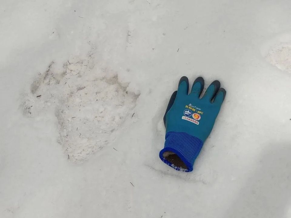 � ����� ������������� ���� �������� ����� ������������ ��������