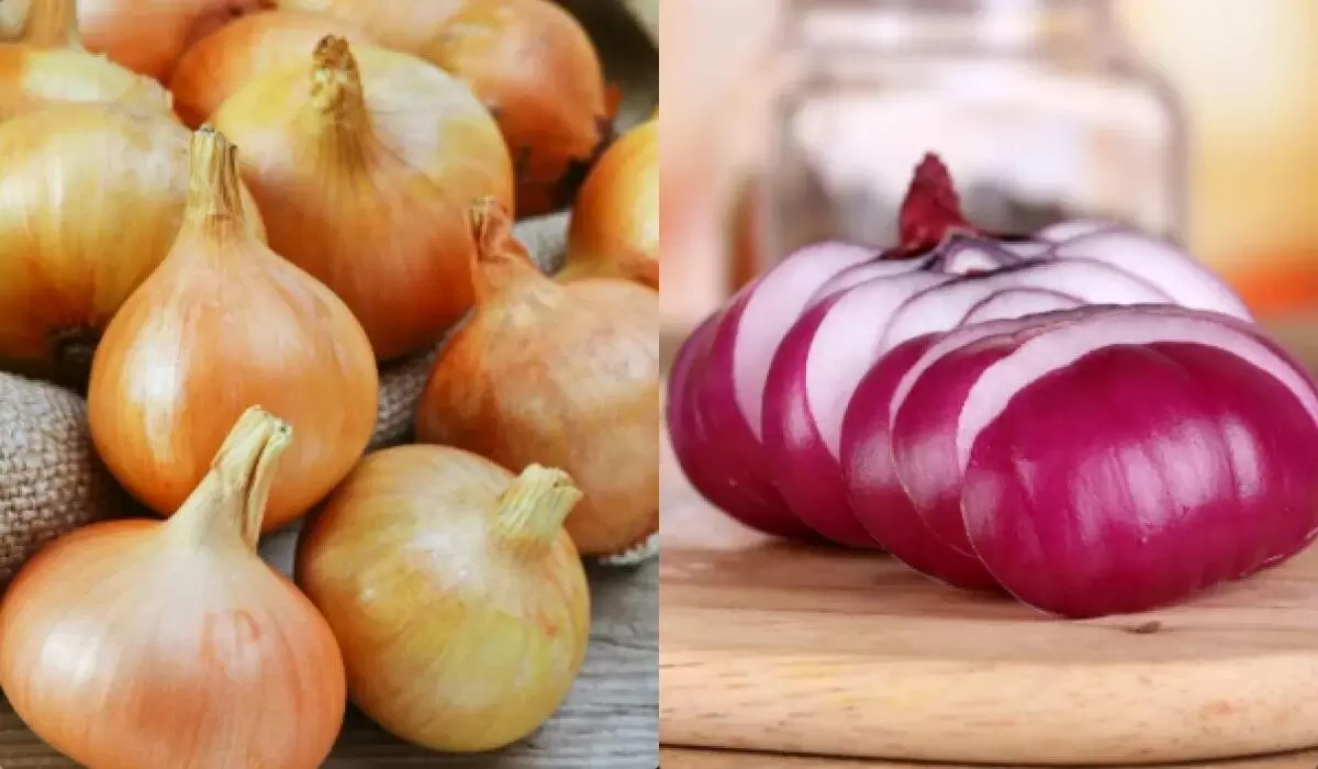 Секреты длительного хранения лука: как избежать порчи и сохранить свежесть