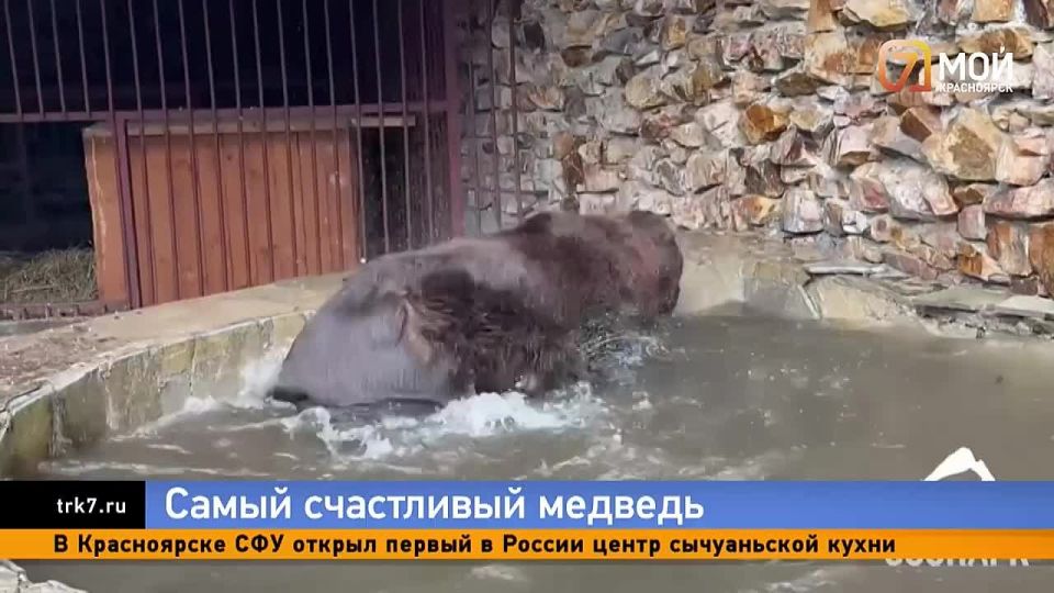 ���������� ����� ����� �������� ���������� ���������� ������������ ��������