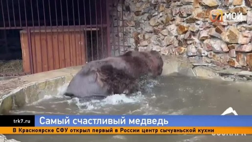 ���������� ����� ����� �������� ���������� ���������� ������������ ��������