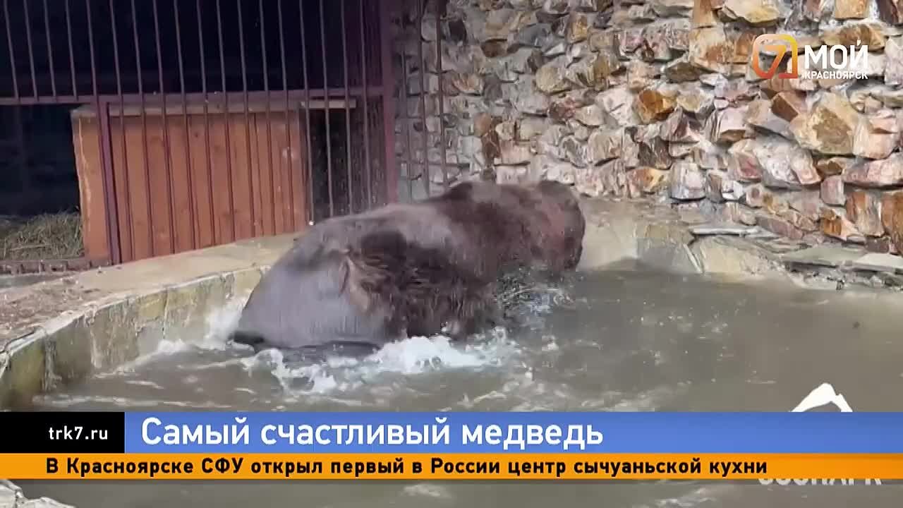 Невероятно милым видео накануне поделились сотрудники Челябинского зоопарка