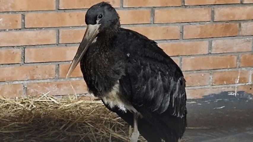 �������������� ������� ����� �������� � ������� ����� �����