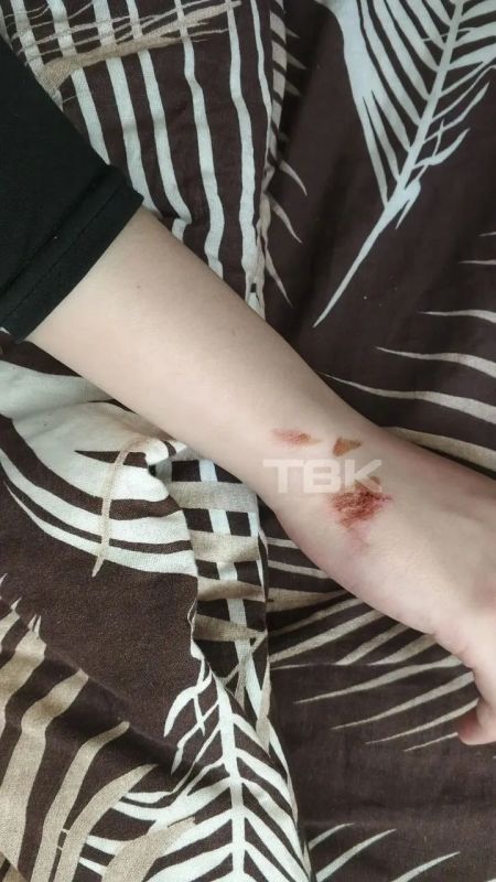 ��������, ����� ������ � �� ����: ���� ��������� �� ������� ���������� � ��������� ���� ����� ��������