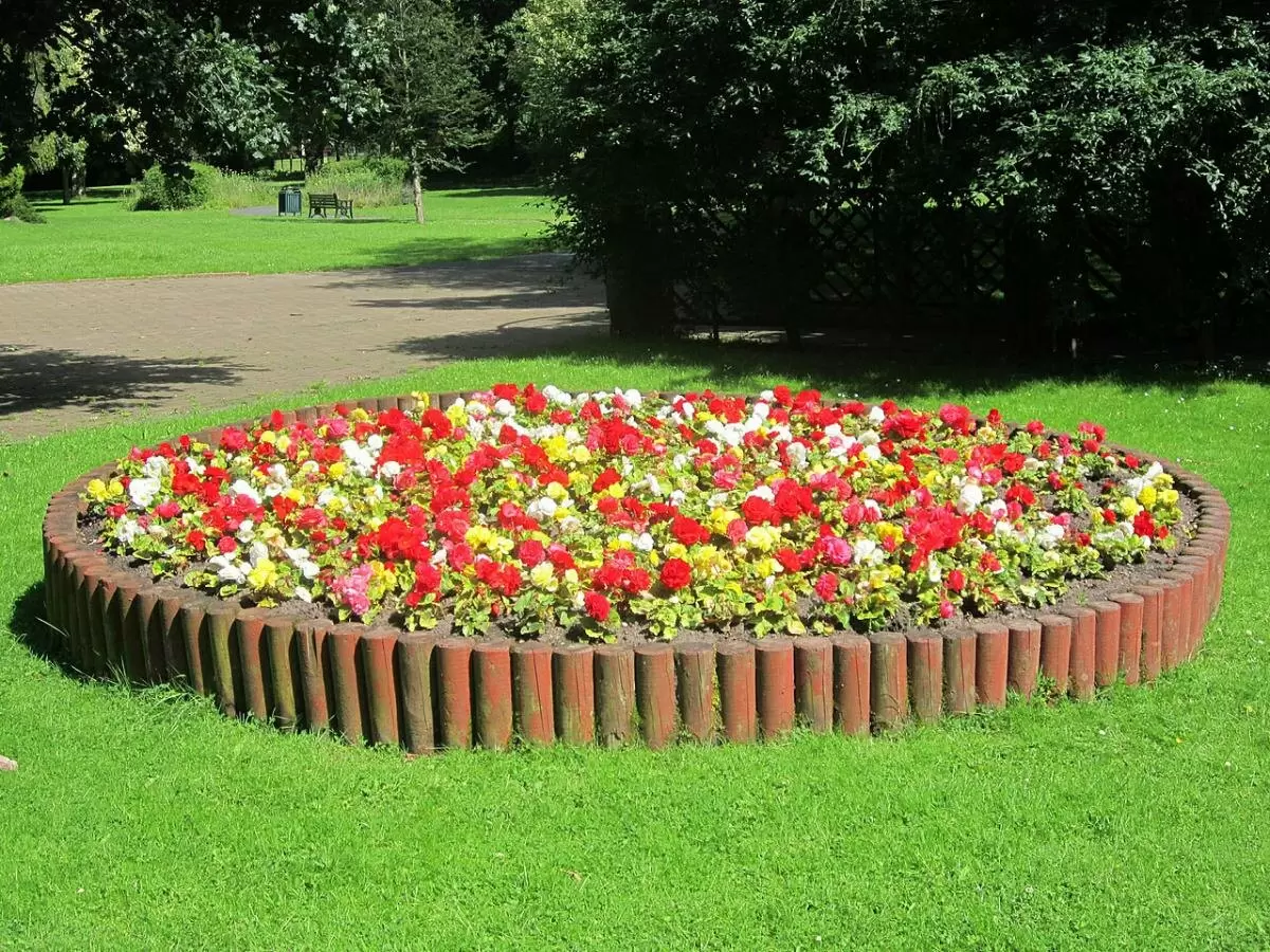 Как создать цветущий оазис: советы по посадке цветов весной