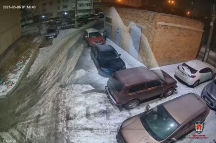 Житель Красноярского края нанял судимого родственника для поджога машины помощницы депутата