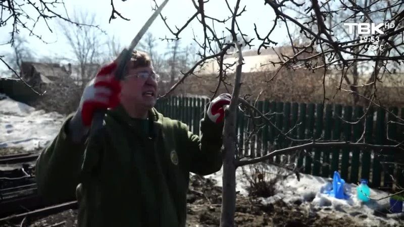 ������� ��� � ������ ����� � 20:00