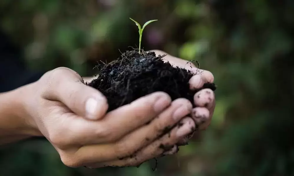 Разнообразие почв: от природы к успешному земледелию