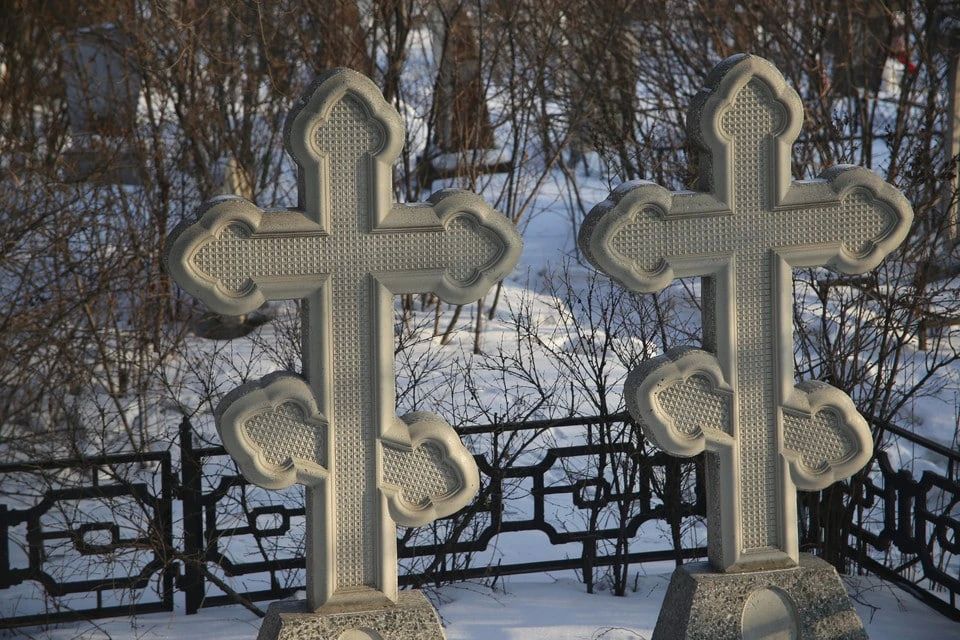 � ������������ ���� ���� ���������� ���������� �������� ��������