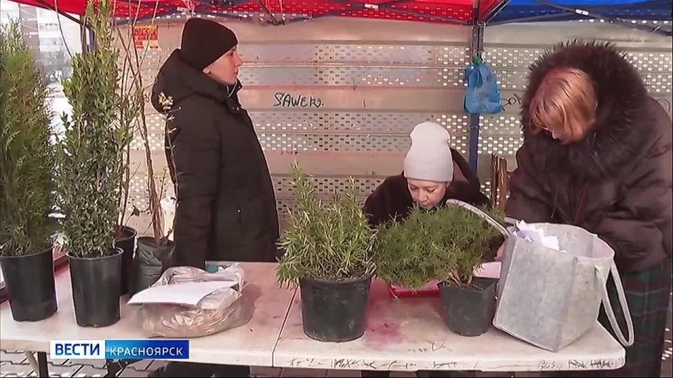 � �������� ����� �� ������ ����������� ���������� ���������� �����