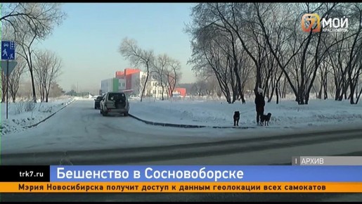 � ������������ ���� ����� ����� �������� � �� ���� ��� � �������������