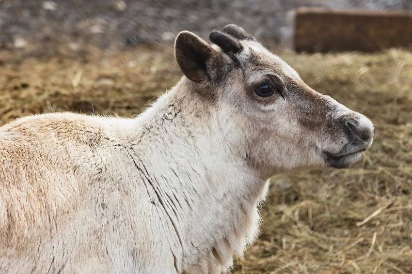 � ������� ����� ����������� ������ ������ � ������ ���� ������ ��������� �����