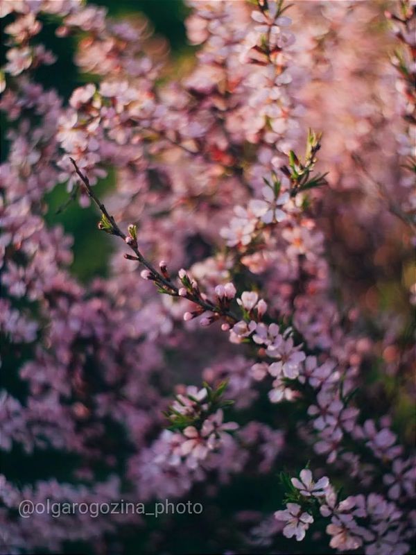 ��� �������, �� ����� ����� ���, � ����� �������� ����� �������� � ��������� ����� ��������� �����������