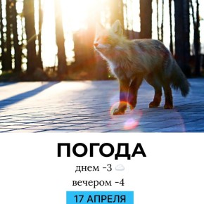 ������ �� �������. @gornovosti