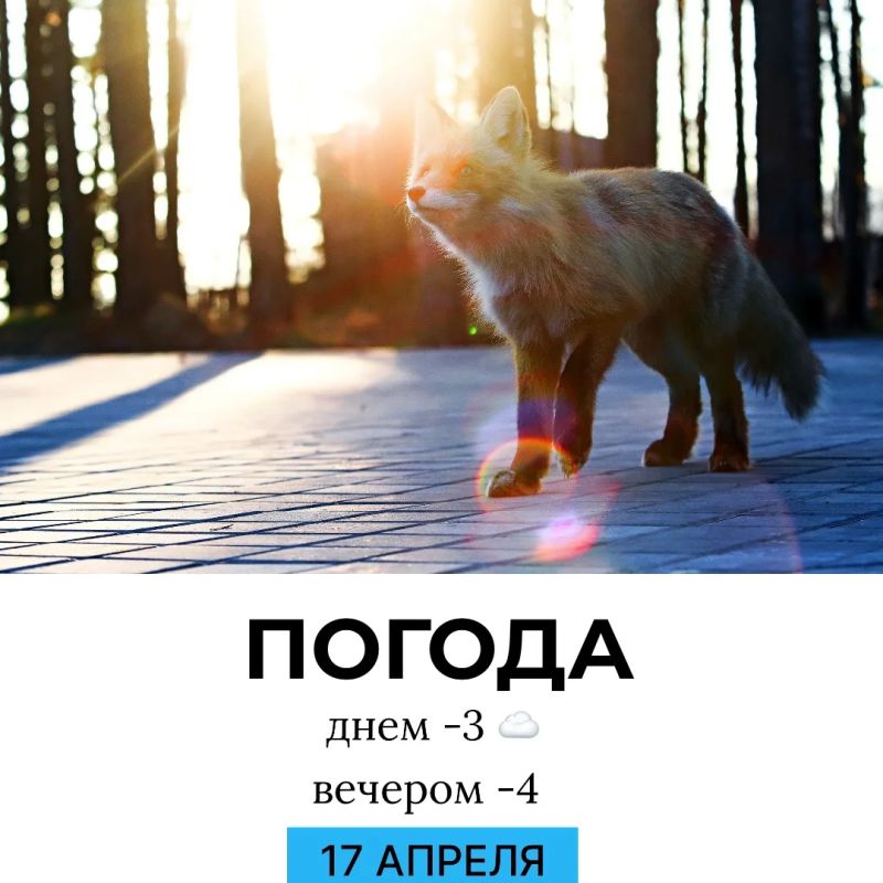 ������ �� �������