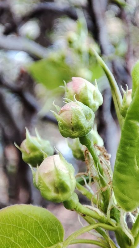 ������ ����!. @vesti_krsk