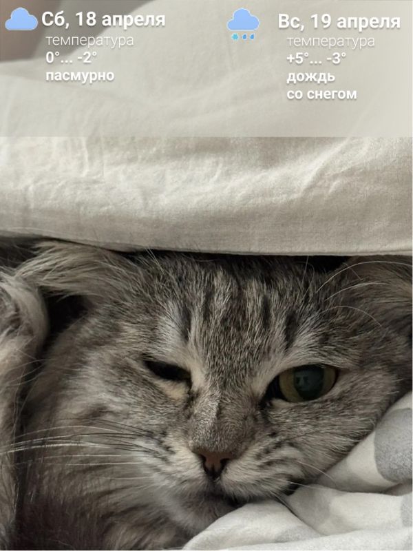 ����: � ����� ������ ������ ����� � �������