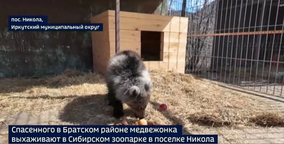 ���������� ���������� ���������� � ��������� ��������