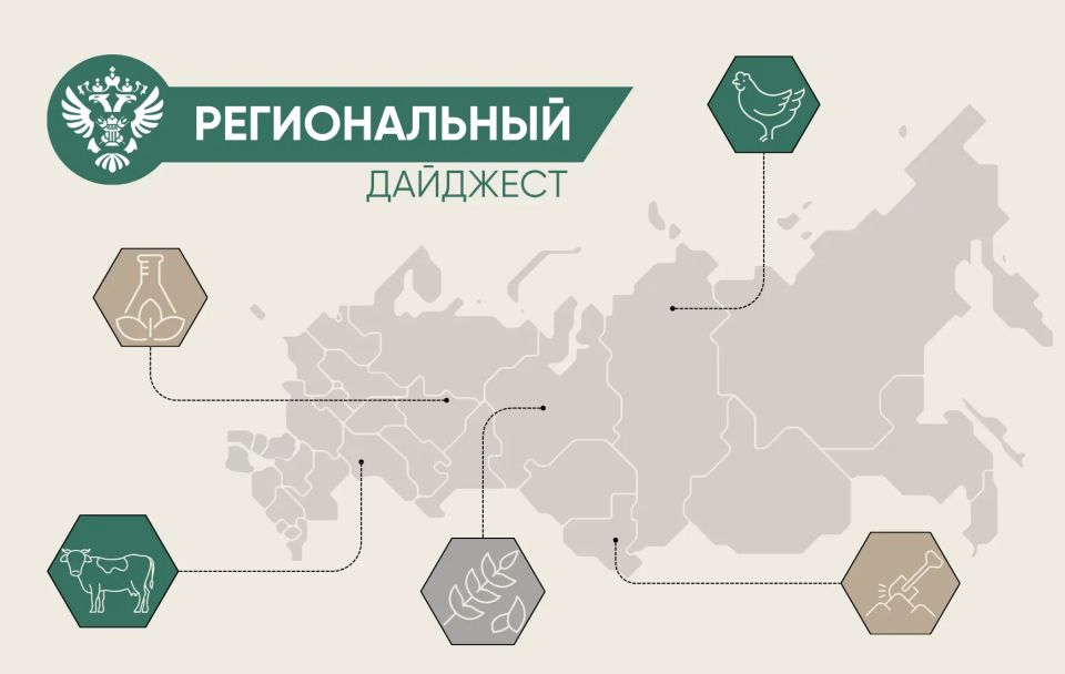 � ����� ���������� ������� ������������ � ������������ ����������������� � ��������