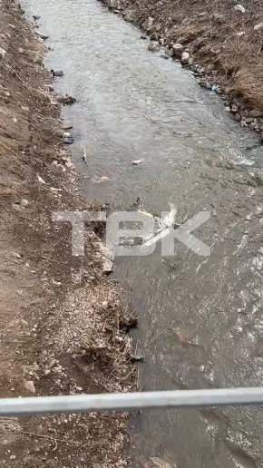 ������� ����������: ������� ����� � ���� � ���� �41� �� ��������