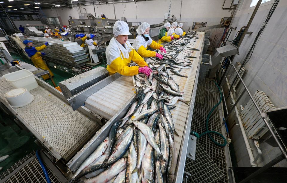 ��������������� ���������� ��� �� ����: ��� ��������� ��� �����?