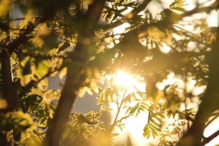 ���������� ����� �� ����� ����������