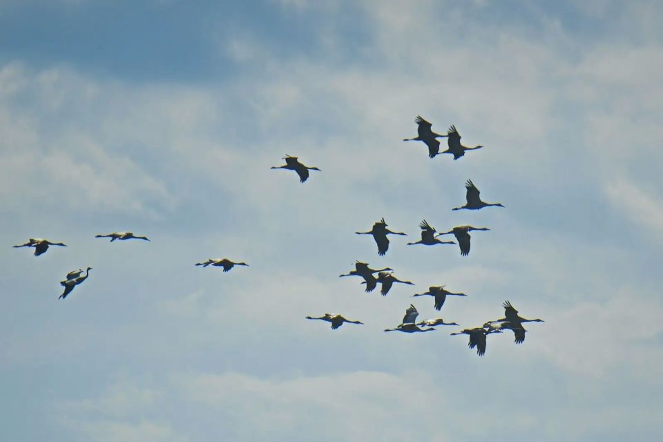 �� ��� ���� ������� ���������� � ��������� ������� � ����� �������� �������