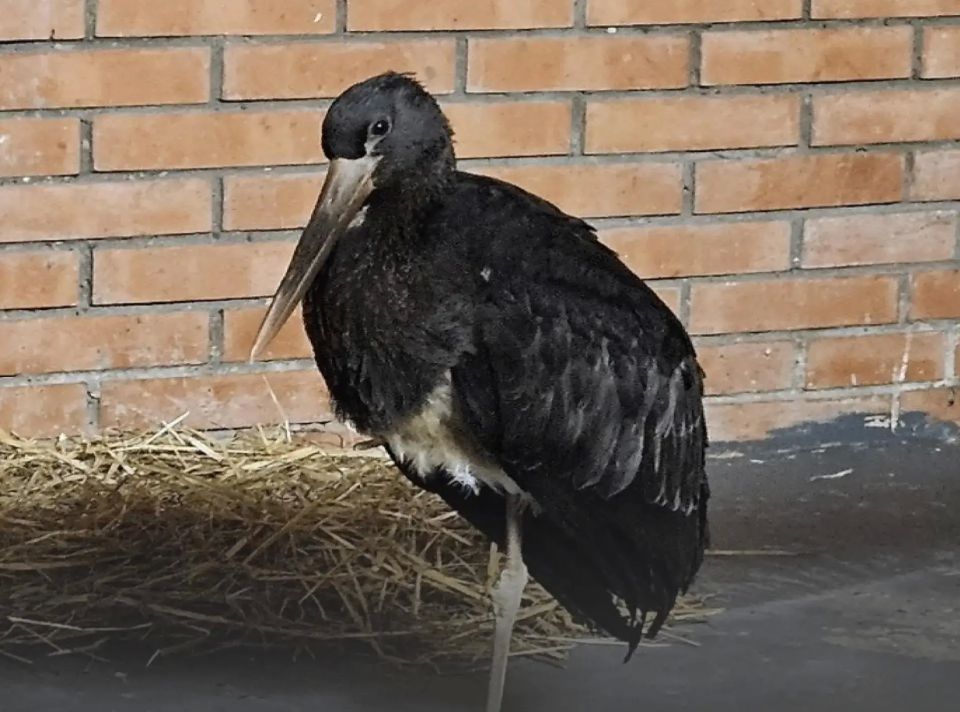 � ������������ ����� ����� �������� �������������� ������� �����