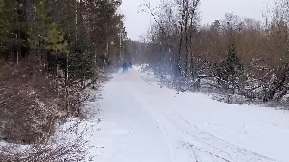 ��������� ���������� ������ ����� ���������� � ������������ ����