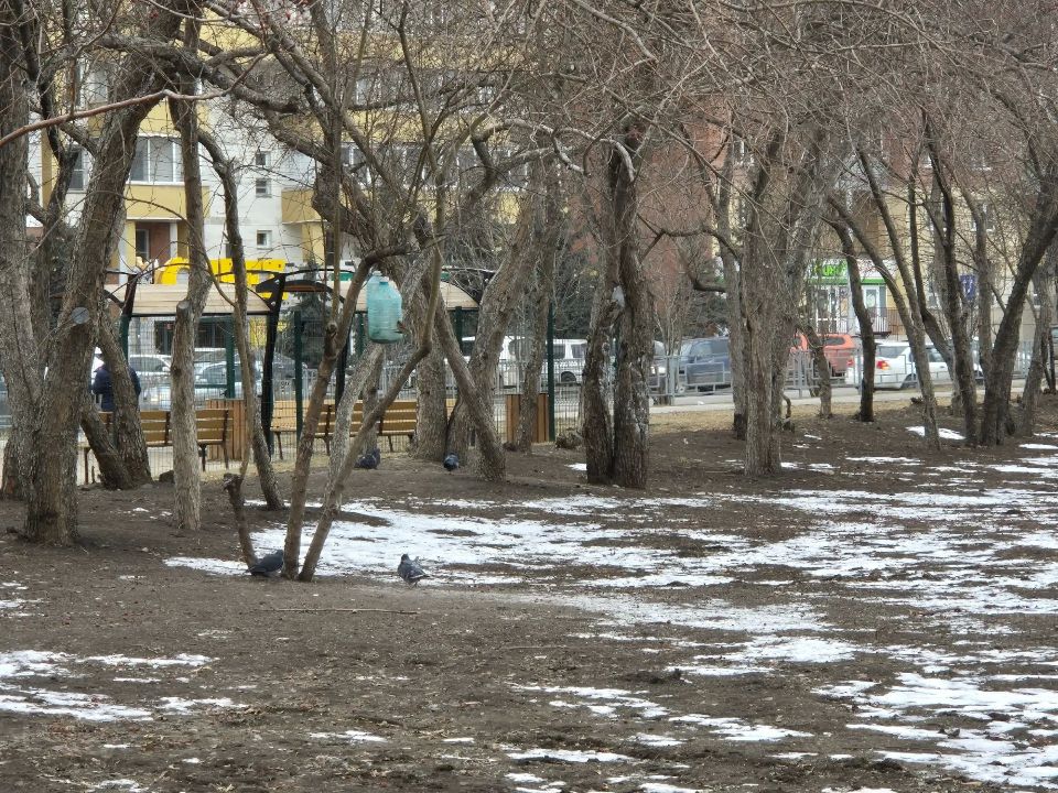 �� -6�C �� +11�C: ������������ ������ ���� ����������� �� ������� ������