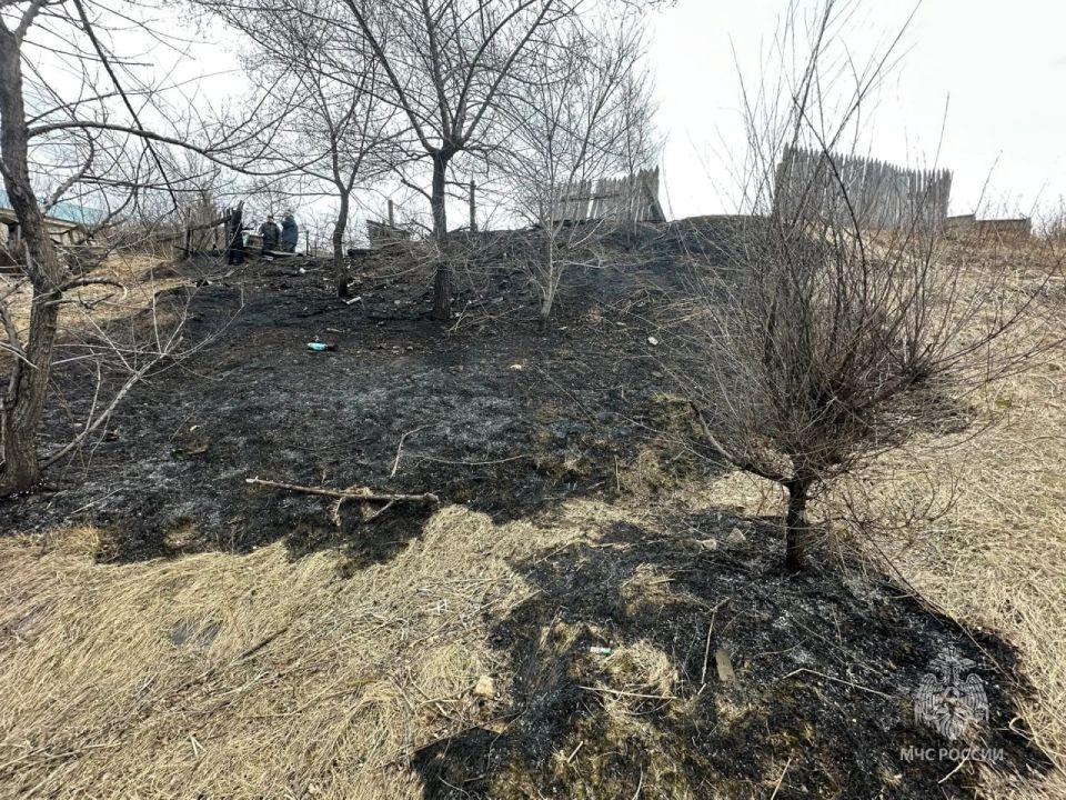 � ������� ����� ���� ����� �����������