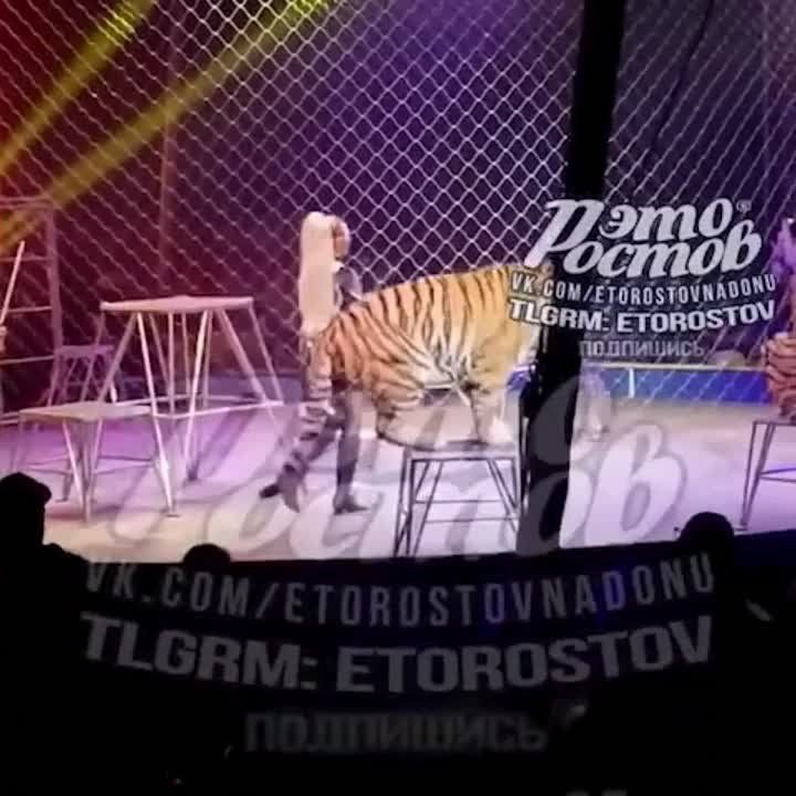 ���� ��������� � ���������� ��� �� ����� ����������� � �������-��-����