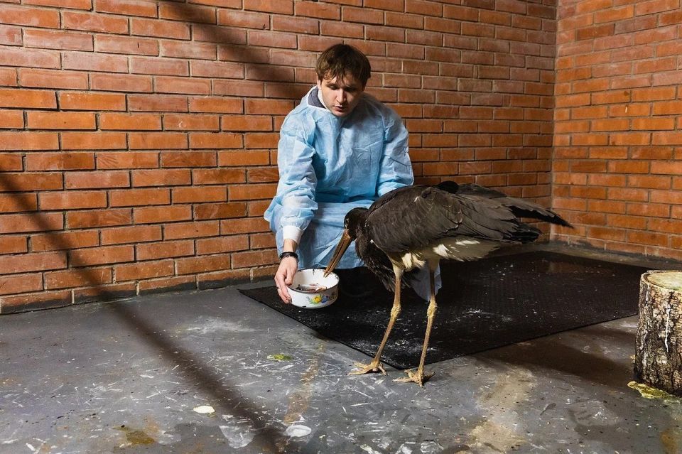 ������ ������� ����� �������� � ������ �����