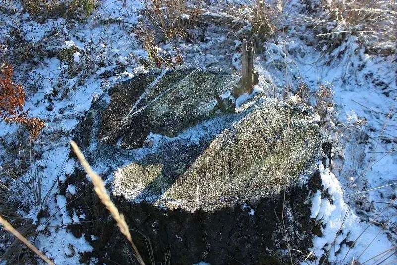 �� ��� ������������� ���� 27-������ ��������� ���������� ���������� ������ ������