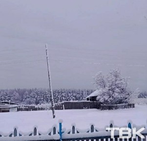 ���� �� ��������� ���������