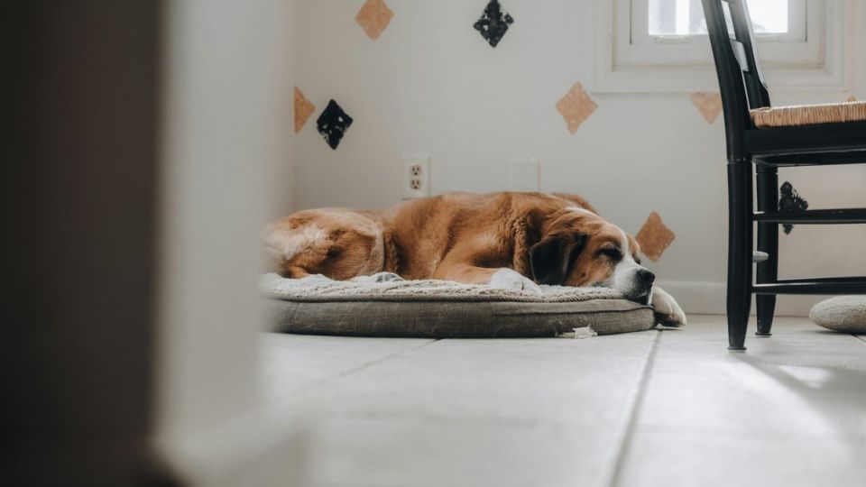 ��� ������ � �����: ��������� � ������� ����������