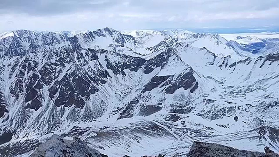 "������� ������": ���� �������� �� ����������� ������� � �������