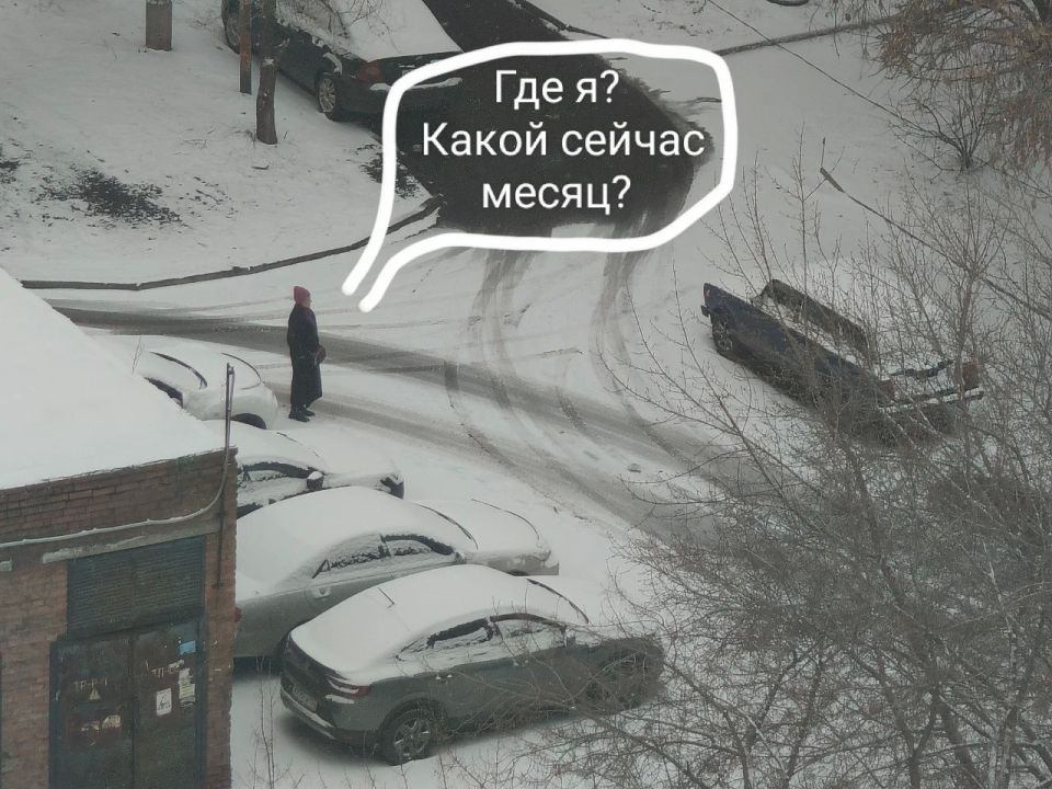 ����������� 21 ������ ���� ������ � ������� ������