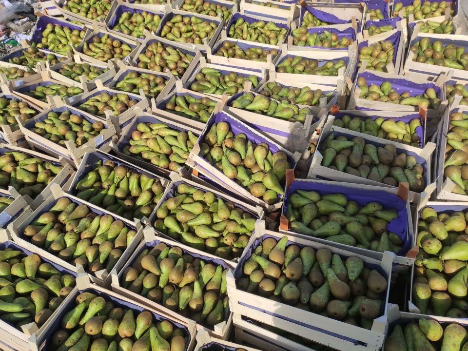 ����������� ���������� � ������ �����