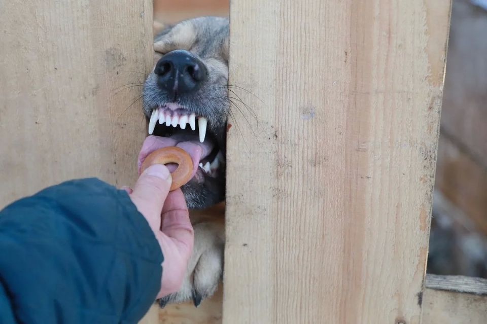 � ����� ������� ������ ������ �� ������� � ����� �� ������������