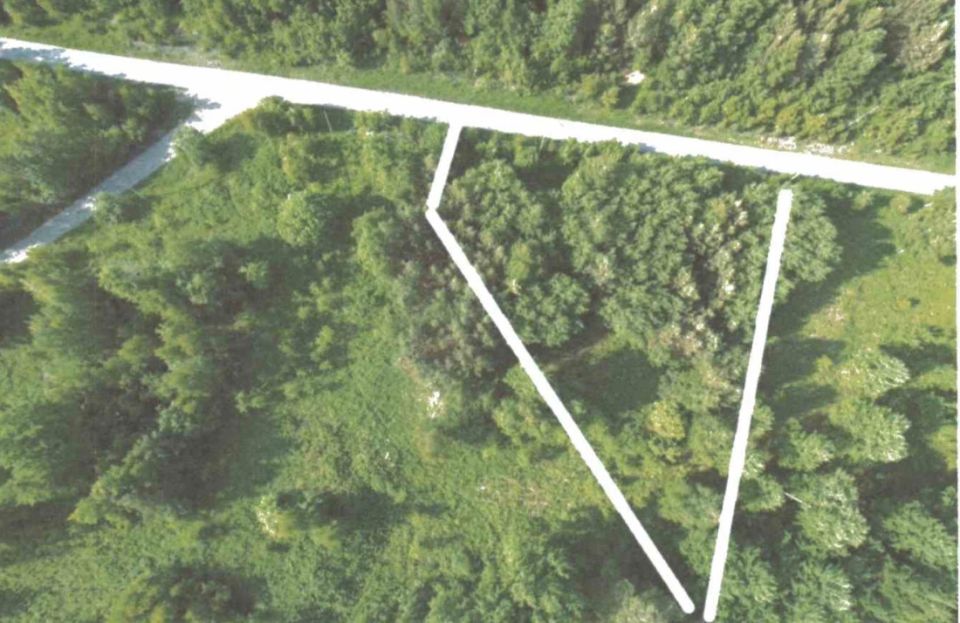 ������������ � �������: � ������� �� ���������� ����������� ����������� ��� ����� ����� ���������� ��������������